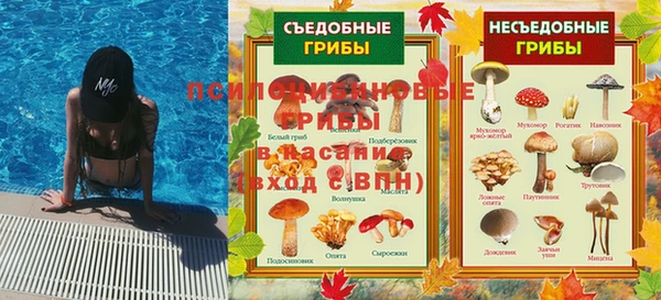 ПСИЛОЦИБИНОВЫЕ ГРИБЫ Нязепетровск