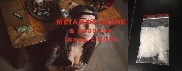 прущие грибы Нягань