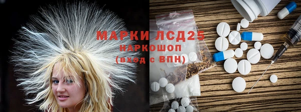 прущие грибы Нягань