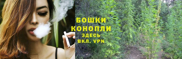 ПСИЛОЦИБИНОВЫЕ ГРИБЫ Нязепетровск