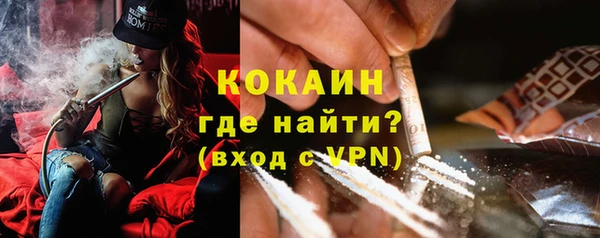 прущие грибы Нягань