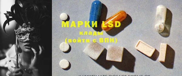 прущие грибы Нягань