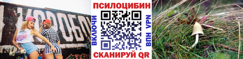mega tor Сясьстрой Галлюциногенные грибы прущие грибы