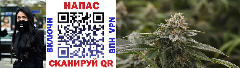 магазин  наркотиков  Сясьстрой  OMG зеркало  Каннабис SATIVA & INDICA 